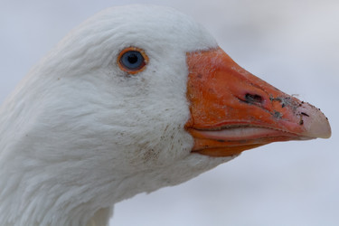 Similar image 21975974