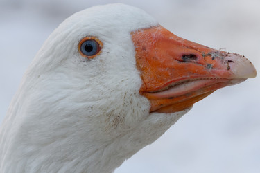 Similar image 21975975