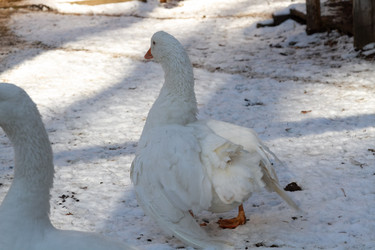 Similar image 21975977