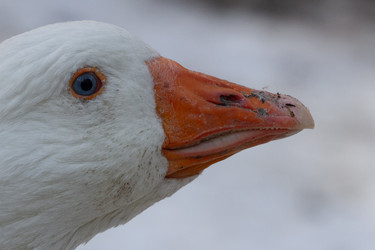 Similar image 21975978