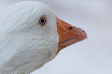 Similar image 21975979