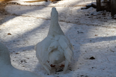 Similar image 21975988