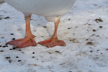 Similar image 21975990