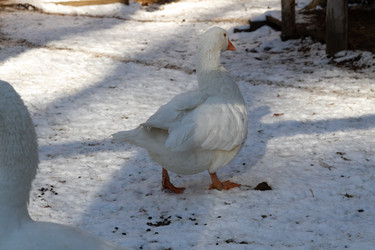 Similar image 21975991