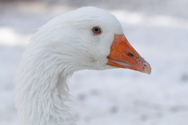 Similar image 21975992