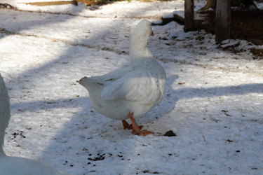 Similar image 21975997