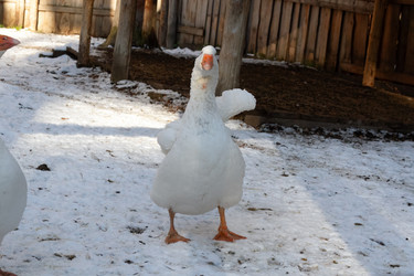 Similar image 21976057