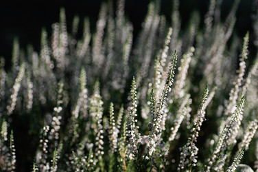 Similar image 21951704