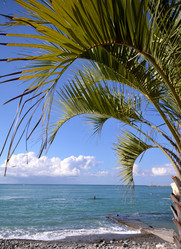 Similar image 21951578