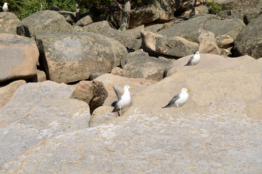 Similar image 21951582