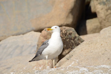 Similar image 21951583