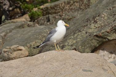 Similar image 21951584