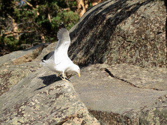 Similar image 21951585