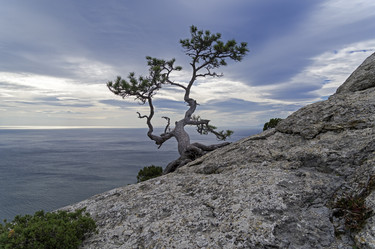 Similar image 21951413