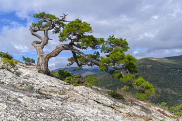 Similar image 21951414