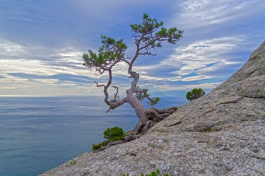 Similar image 21951415