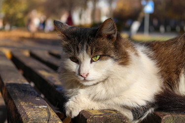 Similar image 21951428