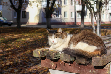 Similar image 21951429