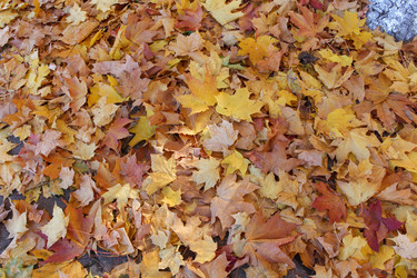 Similar image 21951431