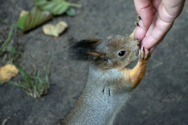 Similar image 21951589