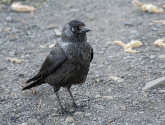 Similar image 21951592