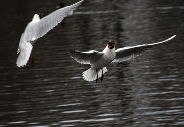 Similar image 21951594