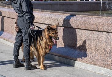 Similar image 21951596