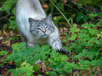 Similar image 21951598