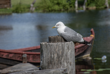 Similar image 21951599