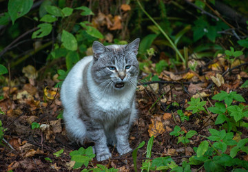 Similar image 21951600