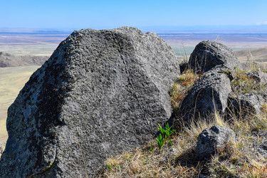 Similar image 21951601