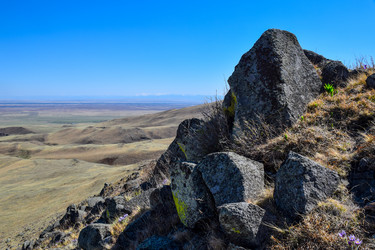 Similar image 21951602