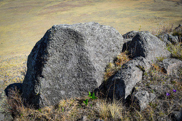 Similar image 21951603