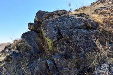 Similar image 21951604