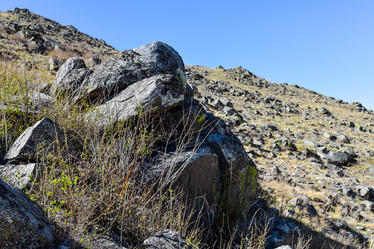 Similar image 21951605