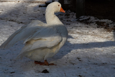 Similar image 21976473