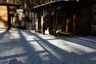 Similar image 21976508