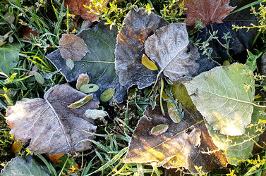 Similar image 21951432