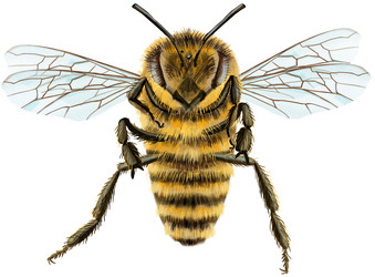 Similar image 21971798