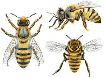 Similar image 21971799