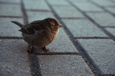 Similar image 21951434