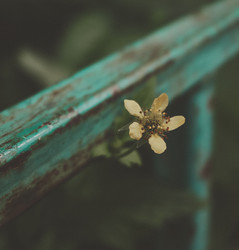 Similar image 21951437