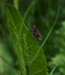 Similar image 21951438