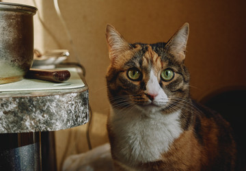 Similar image 21951440