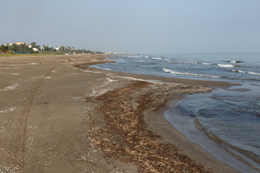 Similar image 21951443