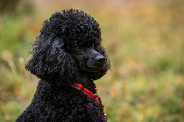 Similar image 21952484