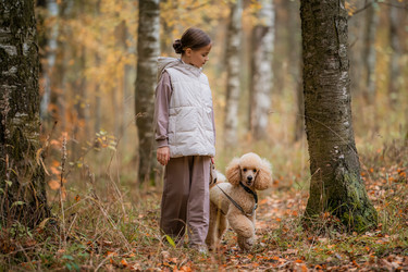 Similar image 21952485