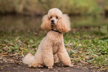 Similar image 21952486