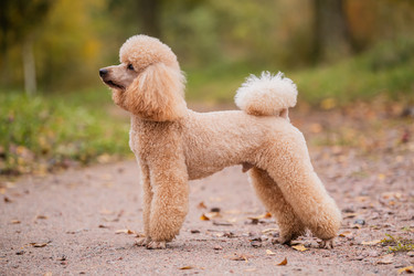 Similar image 21952488