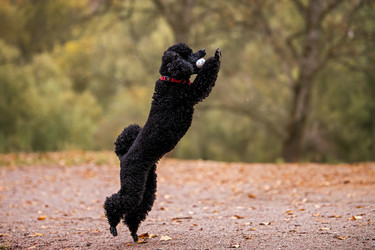 Similar image 21952491